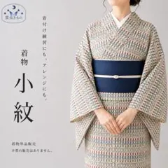 QQ8-80 着物 小紋 単衣 ベージュ 対象身長～156㎝ 送料無料 匿名◎