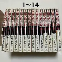 太陽の黒い天使 全巻セット 1〜14