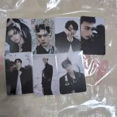 StrayKids　スキズ　Doit　封入