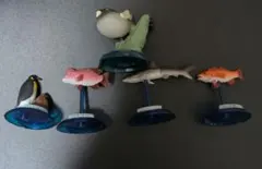 2026年最新】海洋堂 アクアの人気アイテム - メルカリ