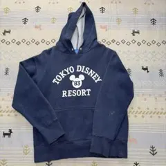 ディズニーリゾート