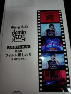 Stray Kids dominATE フィルム風しおり 第2弾 チャンビン