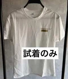 Item thumbnail for item 1ba9858a-3d1a-4127-a38b-a71f06bbb1d3