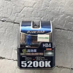 Item thumbnail for item 7dca6b0a-7dc0-453b-bbeb-2eef712fed51