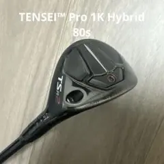 TSR2 ユーティリティ 21度