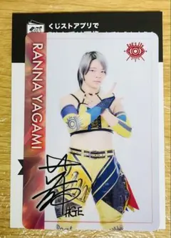 Kevyn様 リクエスト 2点 まとめ商品