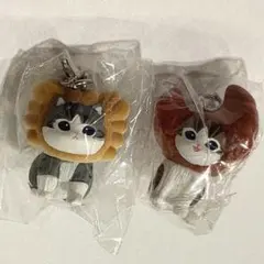 mofusand モフサンド ベーカリーめじるし