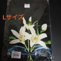 TENBLANK Tシャツ（XL）セントマイケルコラボ◇viviテンブランク特集