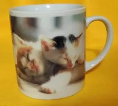 Item thumbnail for item 50b08134-4554-43c0-af80-09102083c455