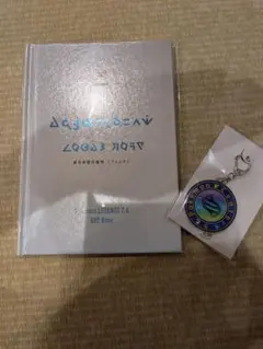 ポケモンレジェンズ　ZA 購入特典　アートブック　キーホールダー