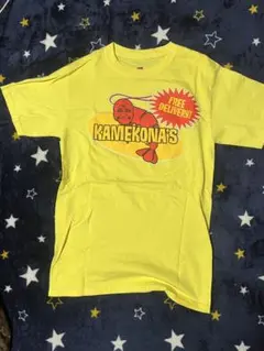 Item thumbnail for item 67a9d133-08a1-4f1c-9bd3-f287e16bc3e0