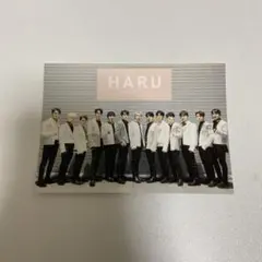 SEVENTEEN ローソンプリント haru 全員 写真