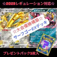 ☆大会優勝構築☆サーフゴーEXデッキ　ポケカ