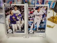 Item thumbnail for item 3c559ae2-20fc-48ca-8bba-2e46fc3ddaca