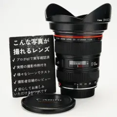 プロテスト済】Canon EF 24-70mm F2.8 L USM 362 - メルカリ