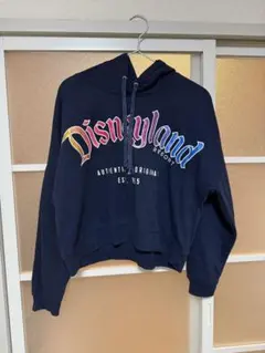 2025年最新】カリフォルニア ディズニー パーカーの人気アイテム