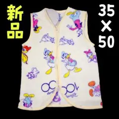 新品❤長〜く使える！ディズニーキャラクター あったか スリーパー 35×50cm