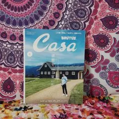 Casa BRUTUS(カーサブルータス) 2024年8月号