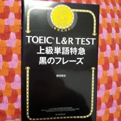 Item thumbnail for item 2c91a7c9-6ff6-491f-b95a-ca9cdeb37518