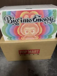 ラブブLabubu Big into Energy アソートボックス６個入　1箱