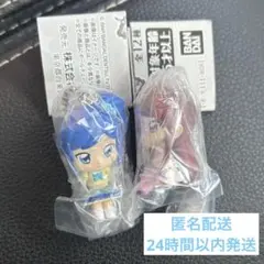アイカツ！ カスタムドレスアップチャーム 霧矢あおい 紫吹蘭 2個セット