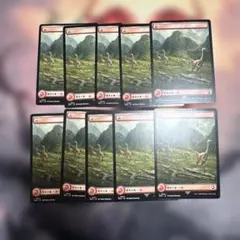 REX 山/Mountain 日10枚