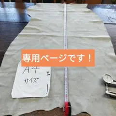 Noひさと様専用ページ