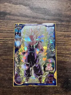 ドラゴンボールヒーローズ UM12-SEC3 孫悟飯:少年期