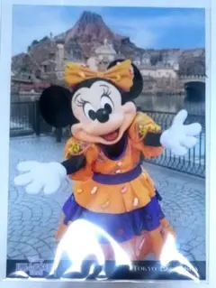 ミニー　ハロウィン写真