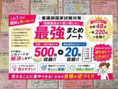 【看護師国家試験対策！！ 必修・一般付箋ノート＋頻出疾患まとめノート】