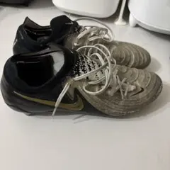 ファントムgx FG