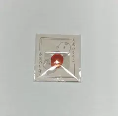 익명 배송 신품 미개봉 영화 치이카와 인어의 비늘 영원한 부적