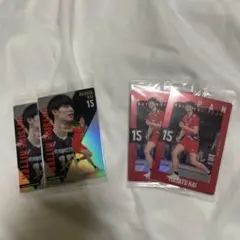 甲斐優斗 バレーボールカード