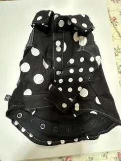 Item thumbnail for item 4fd72118-475e-4bd1-9064-98722c67b644