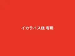 イカライス様 リクエスト 2点 まとめ商品