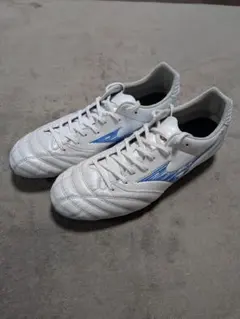 モナルシーダネオ