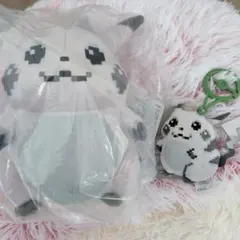 はじまりのピカチュウ　セット