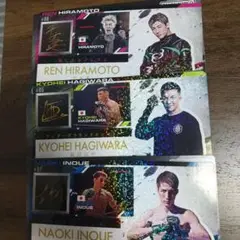 RIZIN ジャンボシールダス