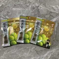 忍者めし 金の鎧 マスカット味 4袋セット 賞味期限2027.6 - メルカリ
