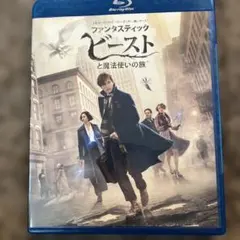 ファンタスティック・ビーストと魔法使いの旅 ブルーレイ&DVDセット('16英…
