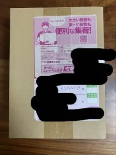 インフェルノX ポケセン産 未開封BOX ポケモンセンター シュリンク ① 