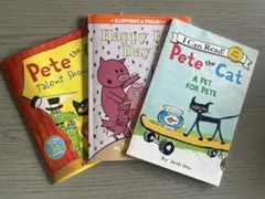 Item thumbnail for item 75b364d8-bf6d-4954-8a9b-2635911d9c90