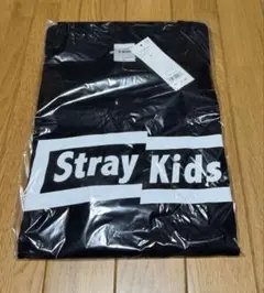 Stray Kids スキズ WEGOコラボ ビッグTシャツ 黒