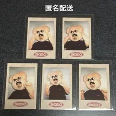 straykids スキズ スンミン skzoo トレカ ポラロイド