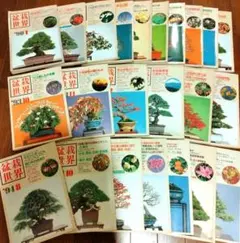 2025年最新】盆栽世界の人気アイテム - メルカリ