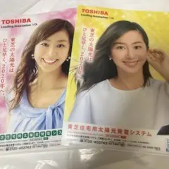 Item thumbnail for item 7d9bf915-2f2d-4d7e-ab05-fbab6cffe91a