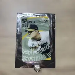 松本裕樹　フォンタブ