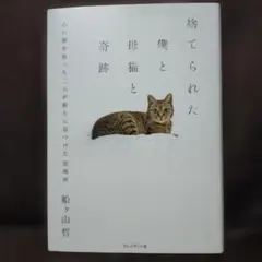 捨てられた僕と母猫と奇跡 : 心に傷を負った二人が新たに見つけた居場所
