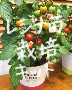 チェコママ様 リクエスト 2点 まとめ商品