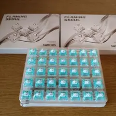Flaming Skoul フレーミングスカル　タクタイルスイッチ　105個